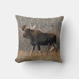 M8 Eland Kussen