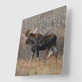 M8 Eland Vierkante Klok (Hoek)