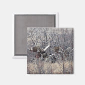 M9 Bull Moose Laying Magneet (Voorkant / Achterkant)