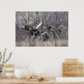 M9 Eland Eland Liggend Poster (Keuken)