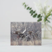 M9 Eland ligt neer Briefkaart (Staand voorkant)