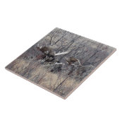 M9 Mannetjeseland Staand Tegeltje (Zijkant)