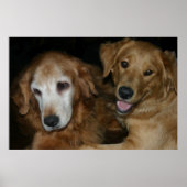 M & H 2 POSTER (Voorkant)