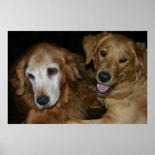 M & H 2 POSTER (Voorkant)