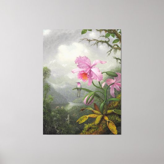 M. HEADE - Kolibrie Perched op het Orchidee Plant Canvas Afdruk (Voorkant)