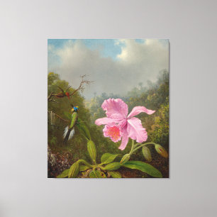 M. HEADE - Vechten tegen kolibries met roze orchid Canvas Afdruk