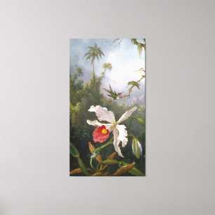 M. J. HEADE  Twee kolibrie's boven een witte orchi Canvas Afdruk