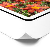 M Monogram Creëer Uw Eigen 9 Aangepaste Foto Colla Poster (Hoek)