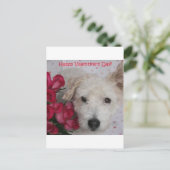 M. Pish en een Dozijn Kaart van de Valentijnsdag (Staand voorkant)