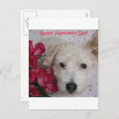 M. Pish en een Dozijn Kaart van de Valentijnsdag (Voorkant / Achterkant)