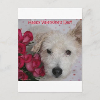 M. Pish en een Dozijn Kaart van de Valentijnsdag