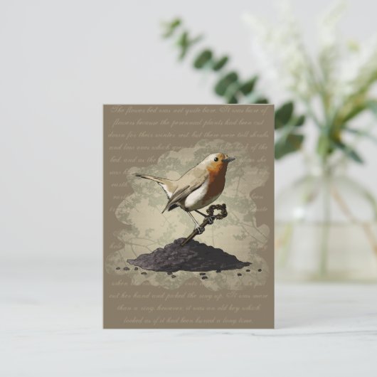 M. Robin Finds de Sleutel, briefkaart (Staand voorkant)