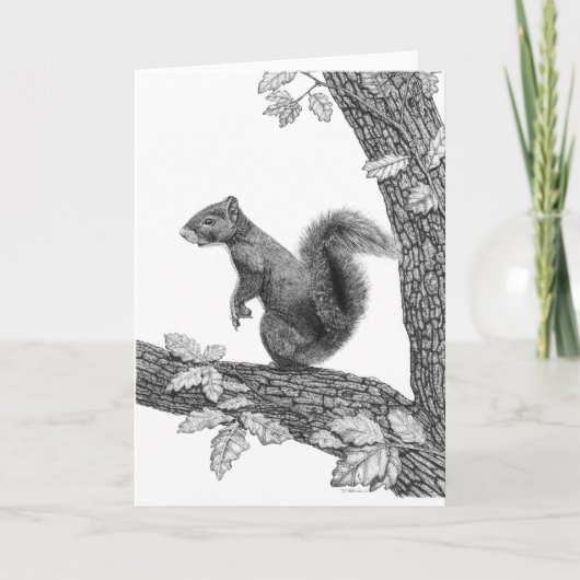 M. Squirrel - de Lege Kaart van de Nota (Voorkant)
