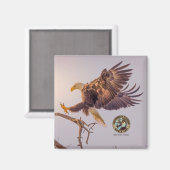 M SWFL Eagle Cam Magnets 2021 Magneet (Voorkant / Achterkant)
