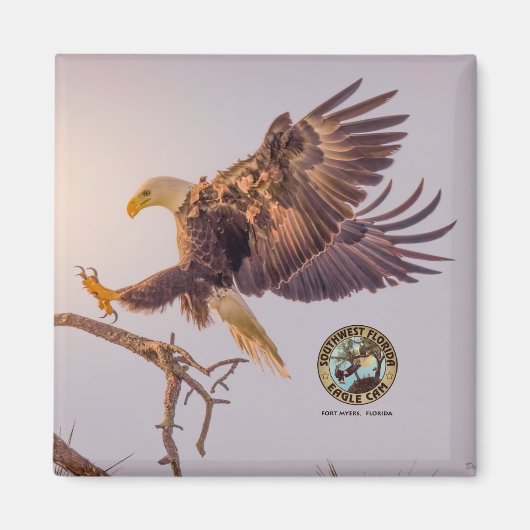 M SWFL Eagle Cam Magnets 2021 Magneet (Voorkant)