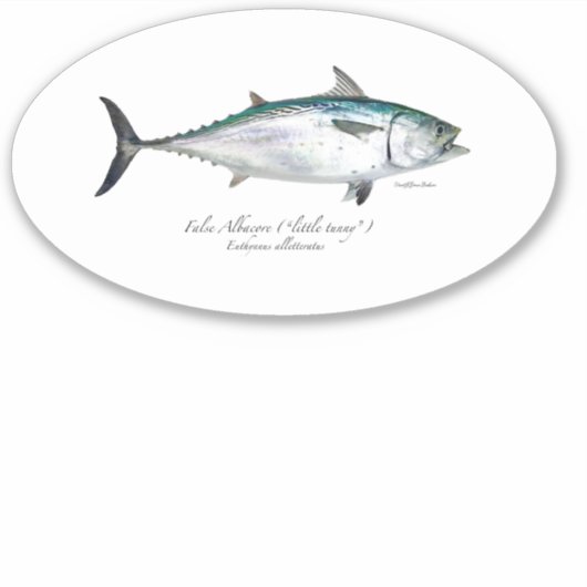 M Vinyl False Albacore Ovale Sticker (Voorkant)