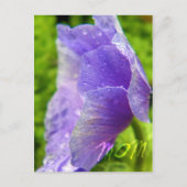 Ma Flower Briefkaart (Voorkant)