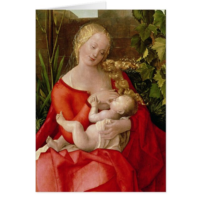 Maagd en kind 'Madonna met de Iris', 1508 (Voorkant)