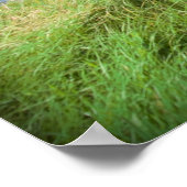 Maagd gesteente glijdt in een opwaartse beweging poster (Hoek)