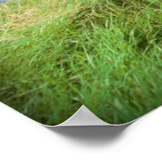 Maagd gesteente glijdt in een opwaartse beweging poster (Hoek)