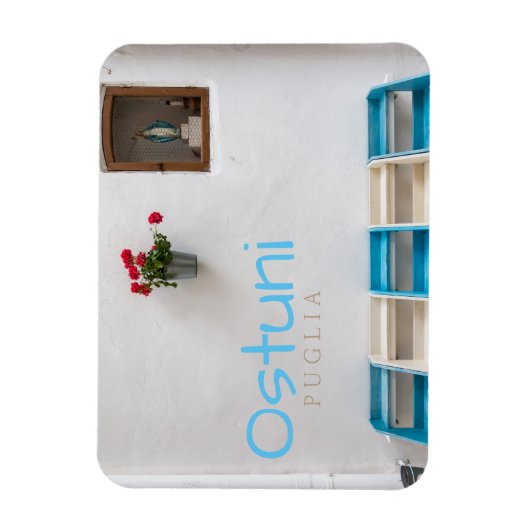 Maagd Maria straat altaar heiligdom tekst magneet (Verticaal)