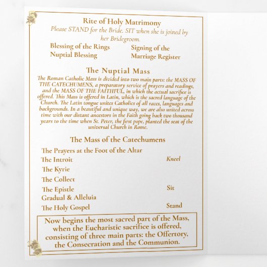 Maagd Maria Traditionele Latijnse Mis Trouwprogram Drieluik Programma (Binnenzijde eerst)