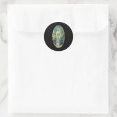 Maagd Maria van Lourdes Onze-Lieve-Vrouw Christeli Ronde Sticker (Tas)