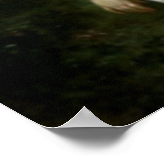 Maagd Maria zonder blozen - Moeder van God Poster (Hoek)