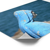 Maagd Mary over de Atlantische Oceaan Poster (Hoek)