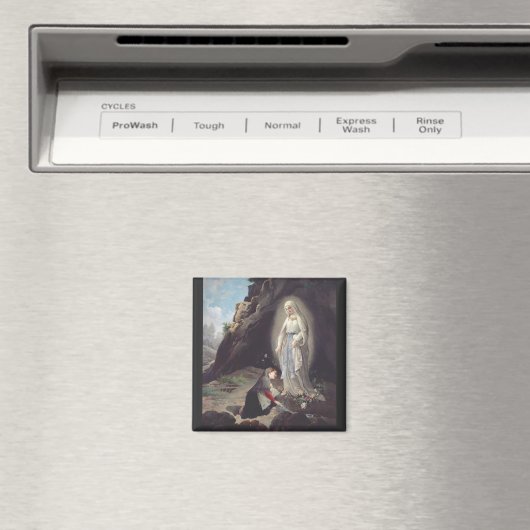 Maagd Mary van Lourdes Magneet (Insitu (Vaatwasser))