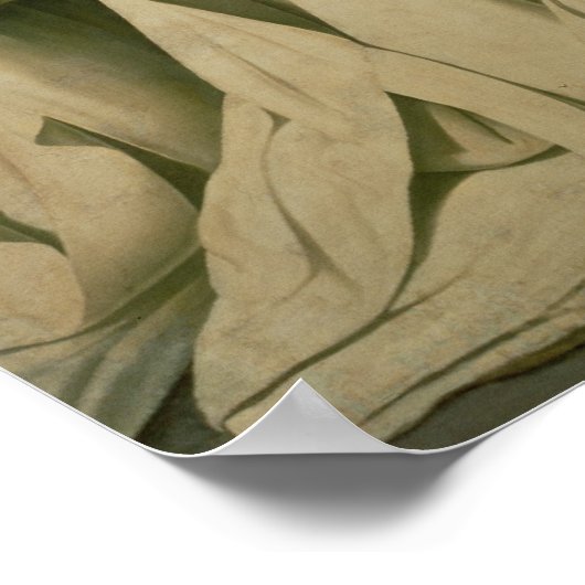 Maagd van de Misericordia Poster (Hoek)