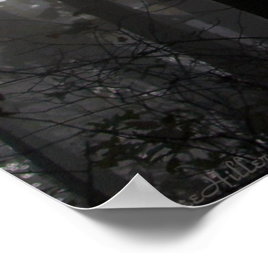 Maagdans van mist en licht tussen de bomen poster (Hoek)