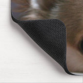 Maagdarm Muismat (Hoek)