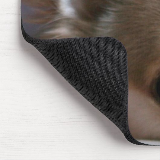 Maagdarm Muismat (Hoek)