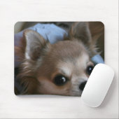 Maagdarm Muismat (Met muis)