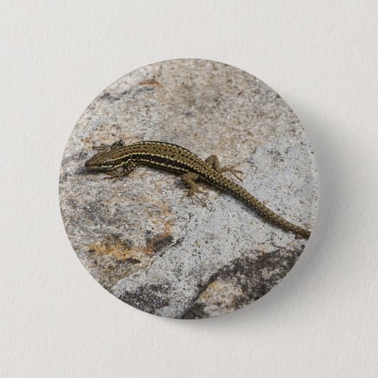 Maagdarmhagedis Ronde Button 5,7 Cm (Voorkant)