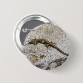 Maagdarmhagedis Ronde Button 5,7 Cm (Voorkant /achterkant)