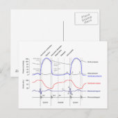 Maagdarmstelselaandoeningen linkerventrikel briefkaart (Voorkant / Achterkant)