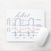 Maagdarmstelselaandoeningen linkerventrikel muismat (Met muis)
