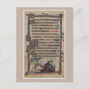 Maagdenbloem zonder blote Maagd Mary Manuscript 13 Briefkaart