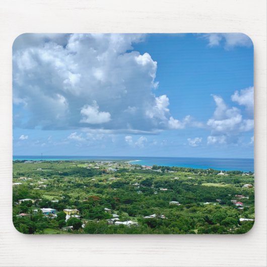 Maagdeneilanden St. Croix Sandy Point USVI Muismat (Voorkant)