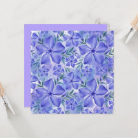 Maagdenpalm Bloemen Blauw Paars Vinca Bloesems