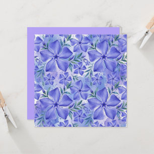Maagdenpalm Bloemen Blauw Paars Vinca Bloesems Kaart