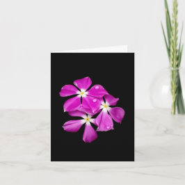 'Maagdenpalm Bloemen Na Regenval' Lege Notitiekaar Kaart