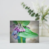 Maagdenpalm Briefkaart (Staand voorkant)