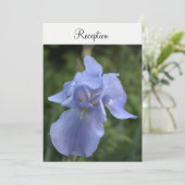 Maagdenpalm Iris Bloem Bruiloftsreceptie Kaart (Staand voorkant)