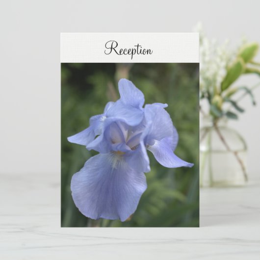 Maagdenpalm Iris Bloem Bruiloftsreceptie Kaart (Staand voorkant)