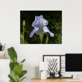 Maagdenpalm Iris met Regendruppels Tuin Poster (Thuiskantoor)