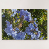 Maagdenpalm Kaap Plumbago, Oakland Legpuzzel (Horizontaal)