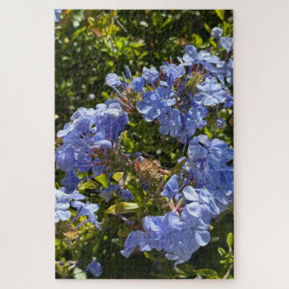 Maagdenpalm Kaap Plumbago, Oakland Legpuzzel